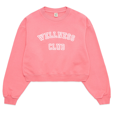 Толстовка Sporty & Rich Wellness Club Flocked Cropped Crewneck SS24 Толстовка Sporty & Rich Wellness Club Flocked Cropped Crewneck SS24