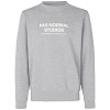 ТОЛСТОВКА PAS NORMAL STUDIOS LOGO SWEATSHIRT GREY