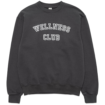 Толстовка Sporty & Rich Wellness Club Flocked Crewneck FW24 Толстовка Sporty & Rich Wellness Club Flocked Crewneck FW24