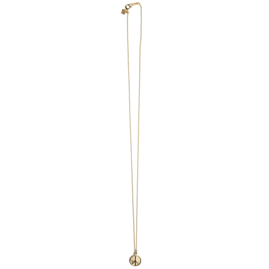 Подвеска NEEDLES PENDANT GOLD в интернет магазине Peakwww.peakstore.ru - 1 фото